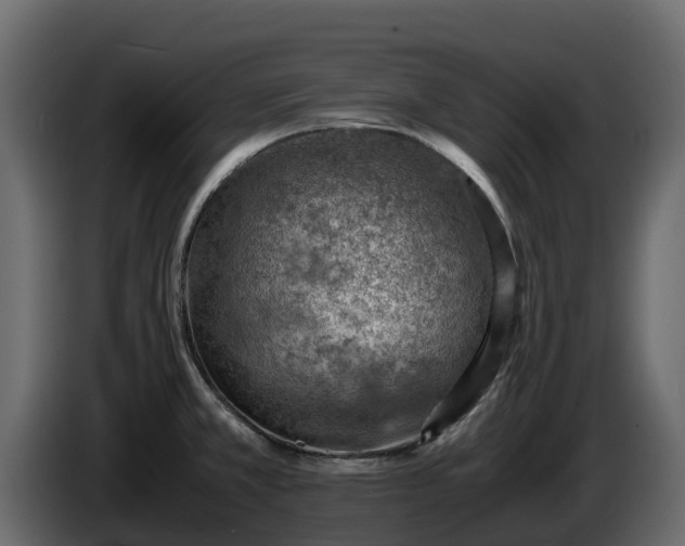 X0000085751381200703231123