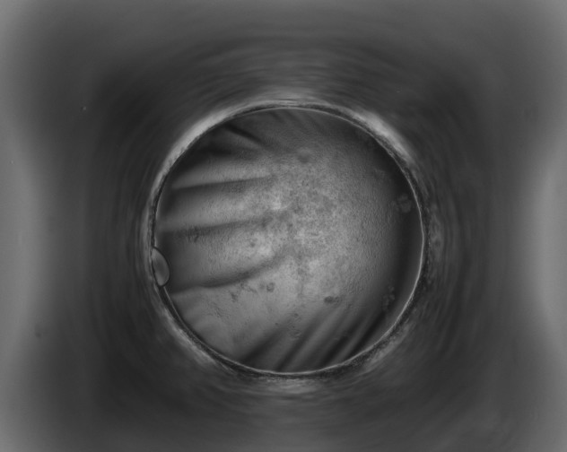 X0000085751382200703231122