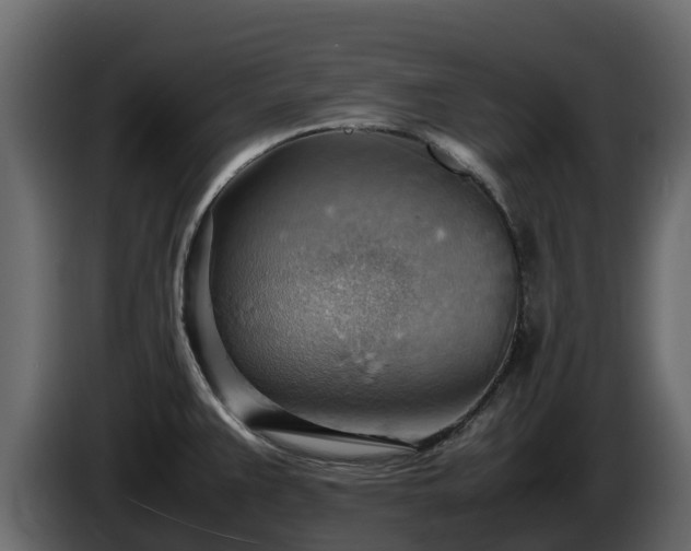 X0000085751383200703231122