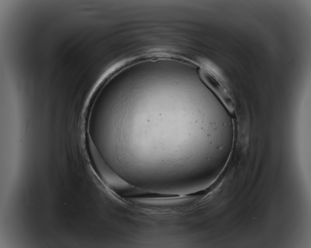 X0000085751384200703231122