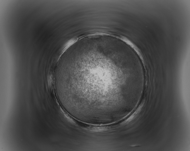 X0000085751385200703231122
