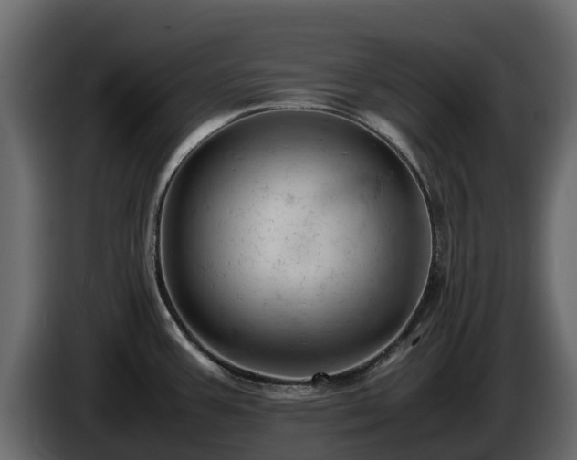 X0000085751387200703231122