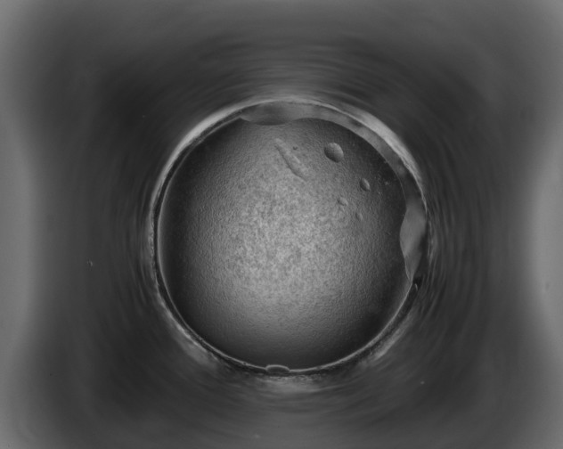 X0000085751388200703231122