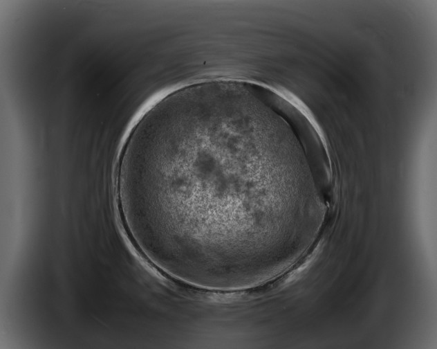 X0000085751389200703231122