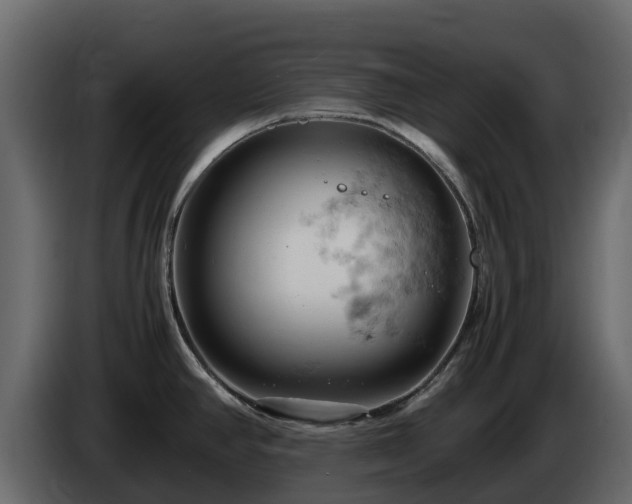 X0000085751390200703231122