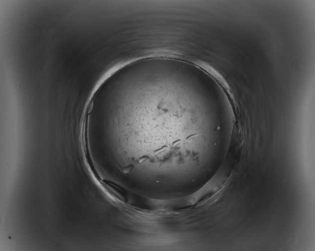 X0000085751391200703231122