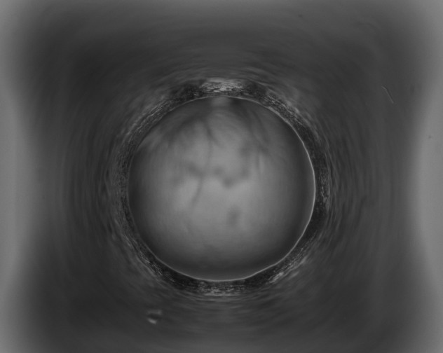 X0000085751393200703231122