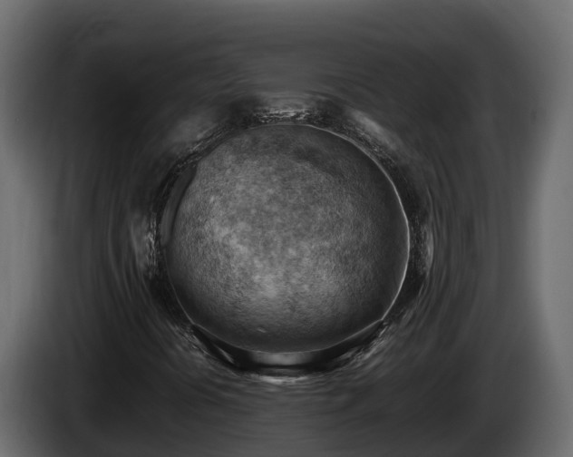 X0000085751394200703231122