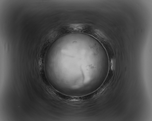 X0000085751395200703231122