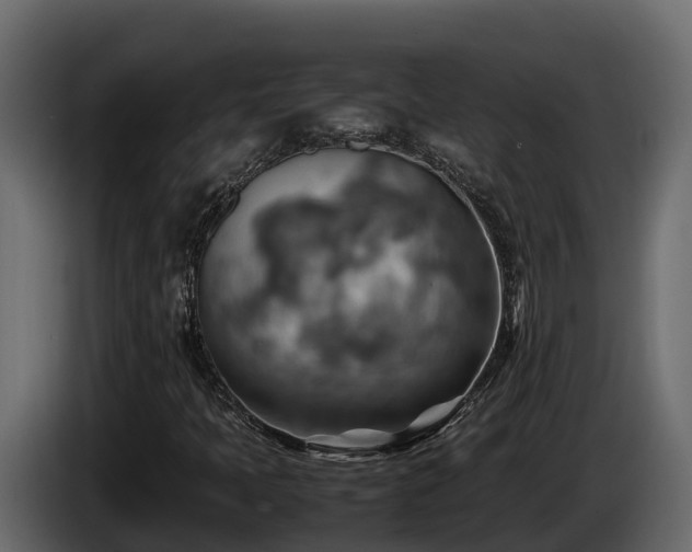 X0000085751397200703231122
