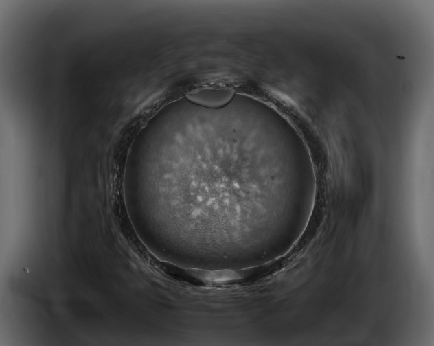 X0000085751399200703231122