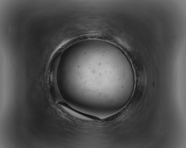 X0000085751400200703231122