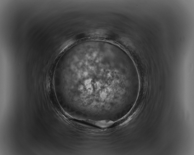X0000085751401200703231122