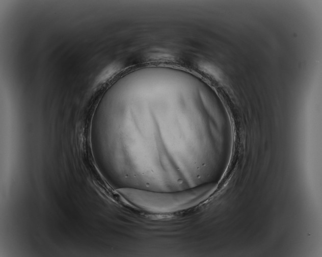 X0000085751403200703231122