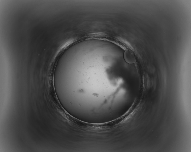 X0000085751405200703231122