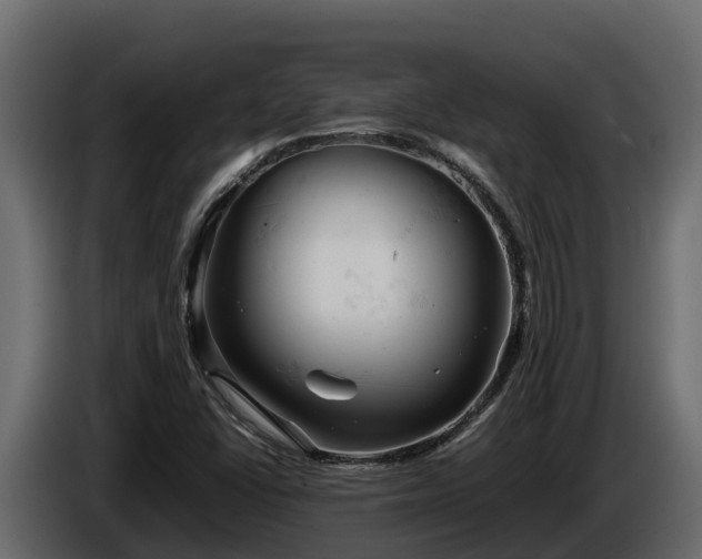 X0000085751406200703231122