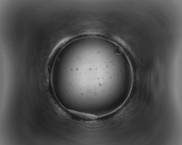 X0000085751408200703231122