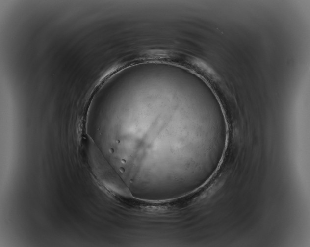 X0000085751409200703231122