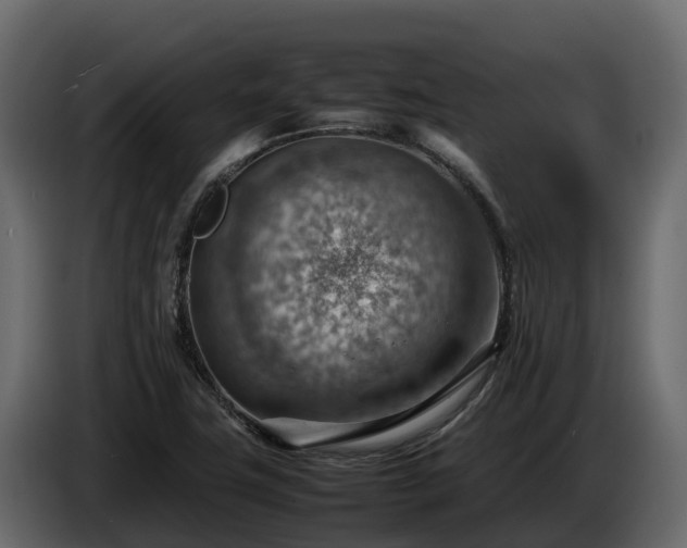 X0000085751411200703231122
