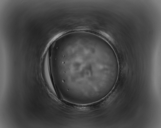 X0000085751413200703231122