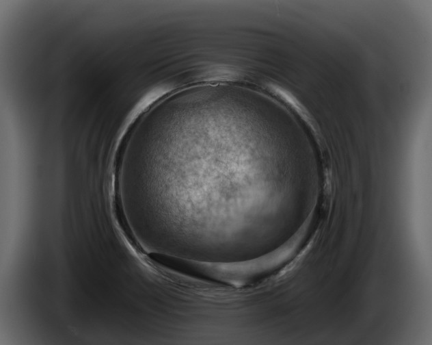 X0000085751418200703231122