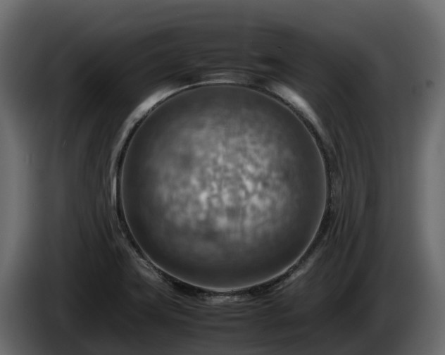 X0000085751419200703231122
