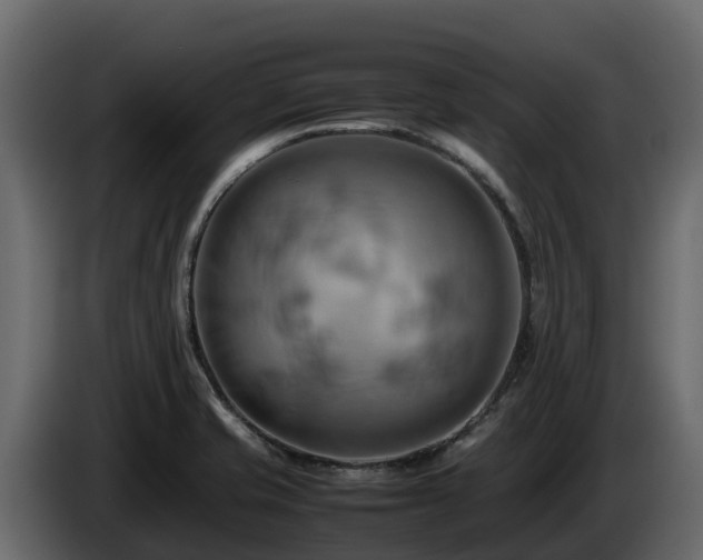 X0000085751421200703231122