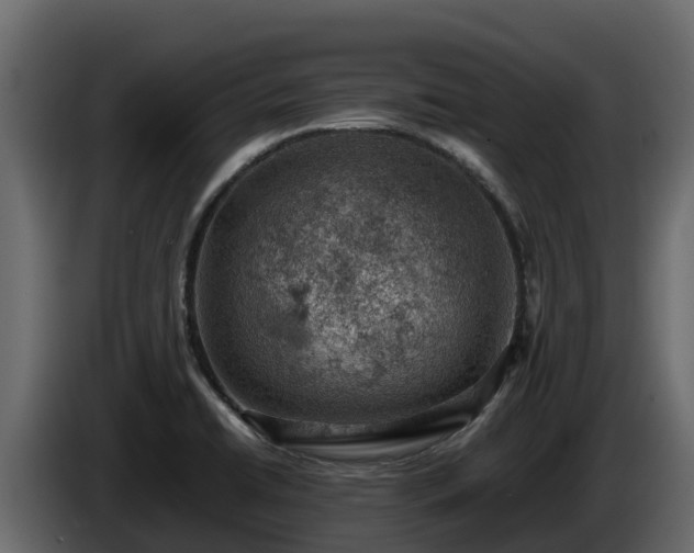 X0000085751422200703231122