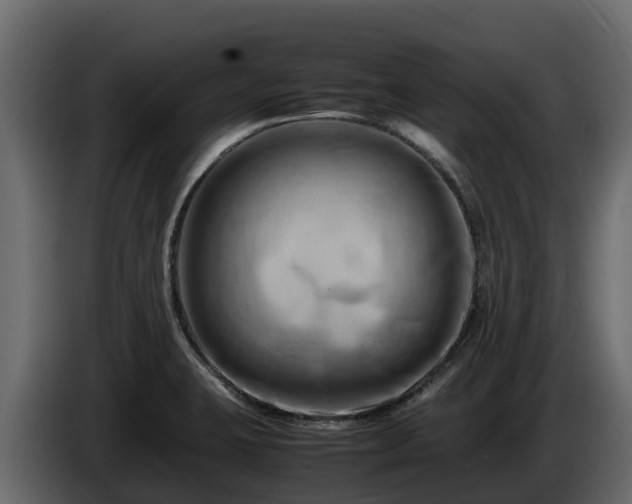 X0000085751423200703231122