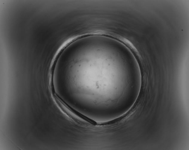 X0000085751424200703231122
