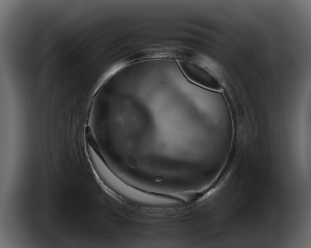 X0000085751425200703231122