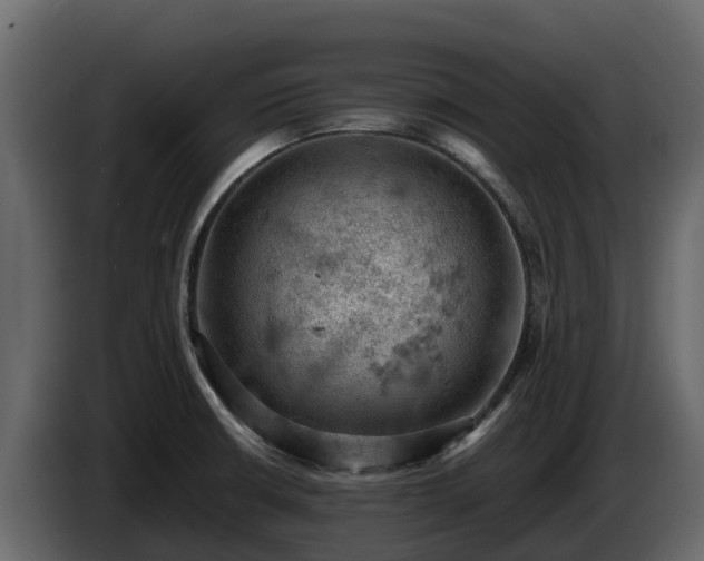 X0000085751426200703231122