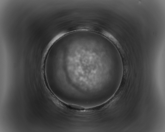 X0000085751427200703231122