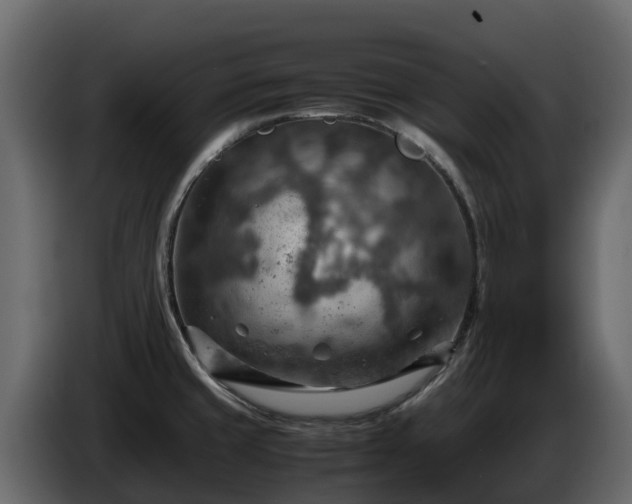 X0000085751429200703231122