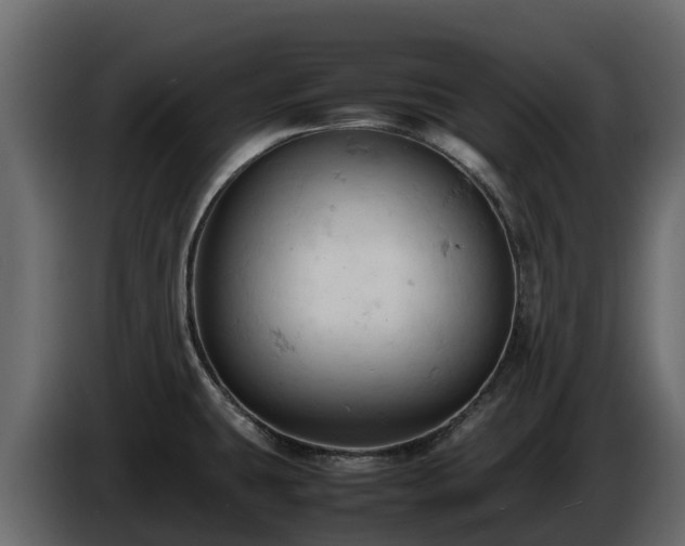 X0000085751431200703231122