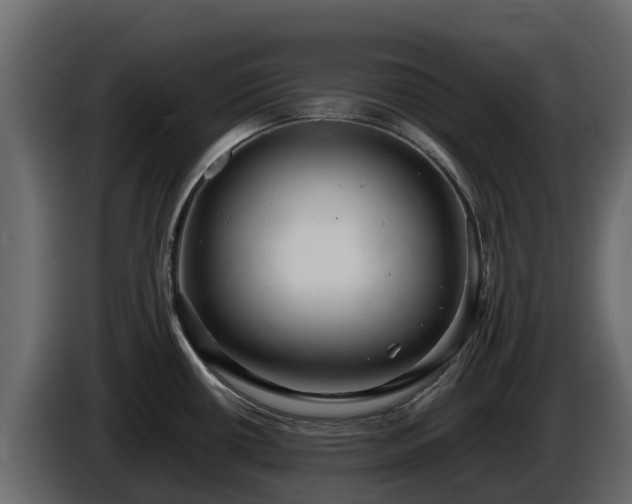 X0000085751434200703231122