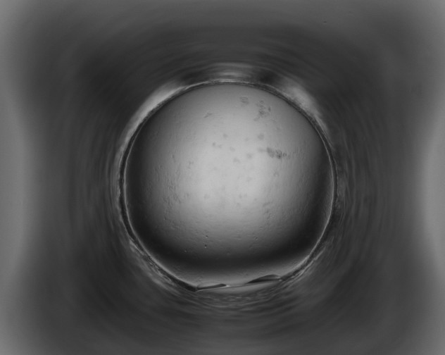X0000085751435200703231122