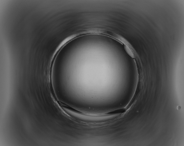 X0000085751436200703231122