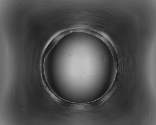 X0000085751438200703231122