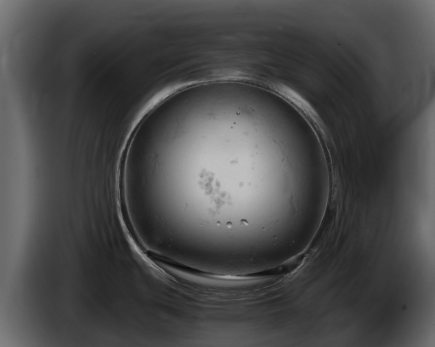 X0000085751439200703231122