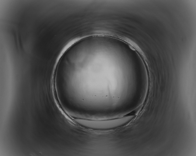 X0000085751440200703231122