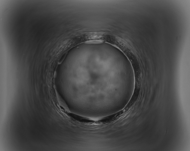 X0000085751441200703231122