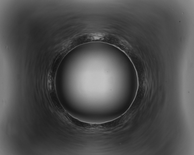 X0000085751442200703231122