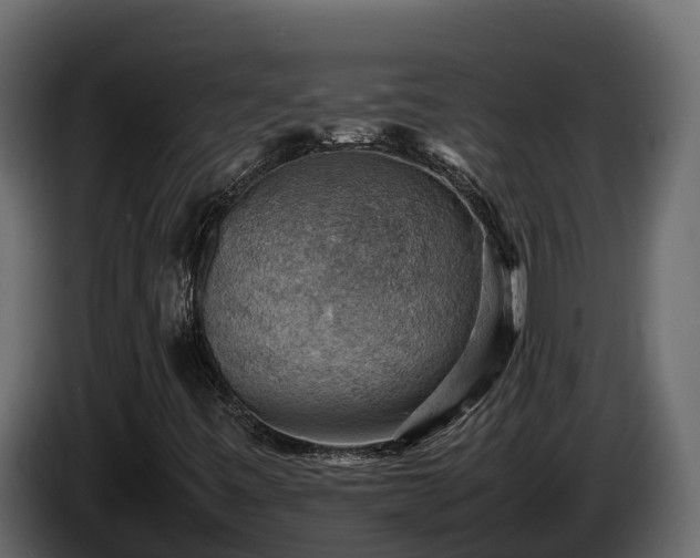 X0000085751443200703231122