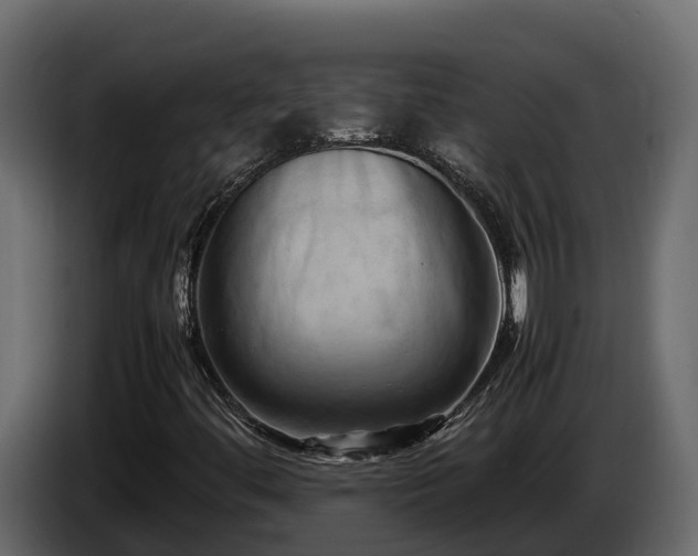 X0000085751444200703231122