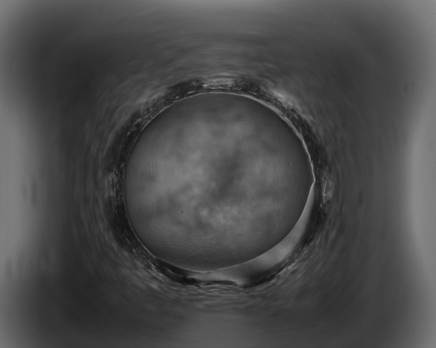 X0000085751445200703231122