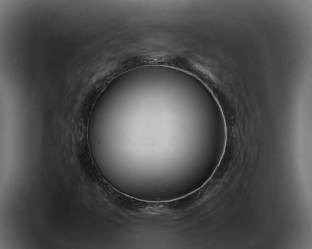 X0000085751447200703231122