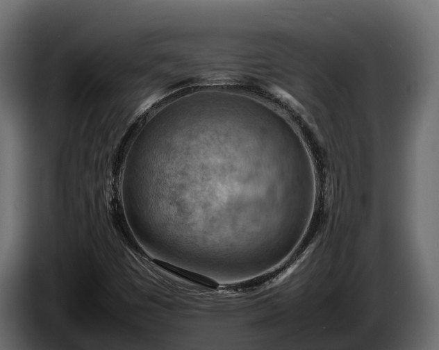 X0000085751449200703231122