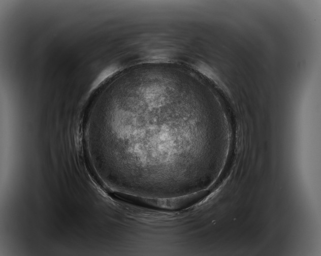 X0000085751450200703231121