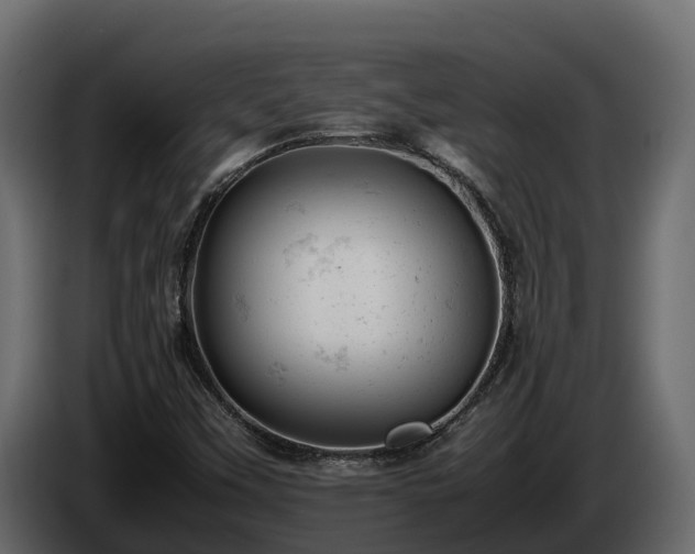X0000085751451200703231121